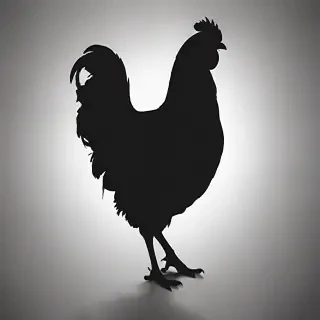 silhouette of a chicken