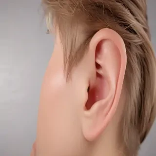 ears png