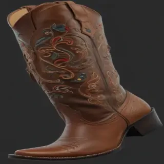 cowgirl boots png