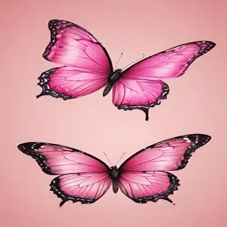 pink butterfly clipart