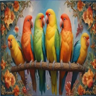 lovebird