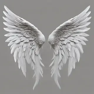 angel wings transparent background