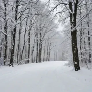 winter zoom background