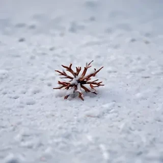 snow background iphone