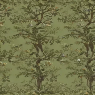 olive green aesthetic wallpaper