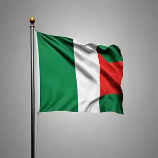 nigeria flag png