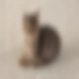 �w�