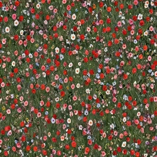 flowers field png