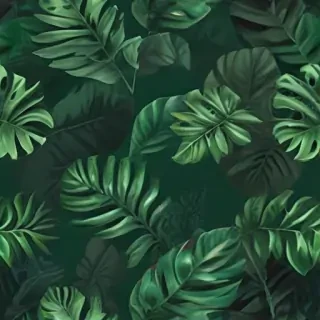 green backgrounds aesthetic
