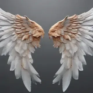angel wings transparent background