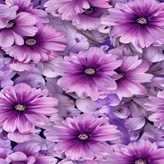 purple flowers png