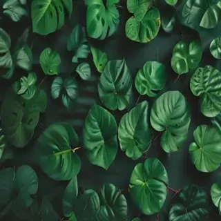 green background aesthetic