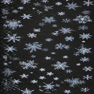 transparent snow png