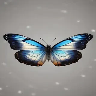png butterfly