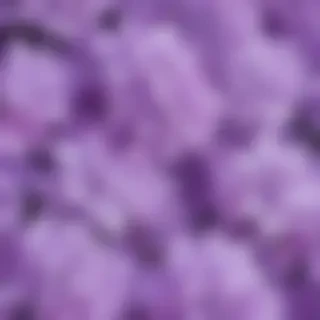 aesthetic lilac wallpaper