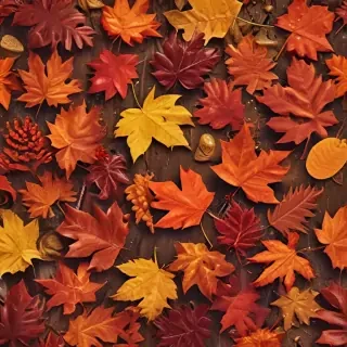 autumn wallpaper phone