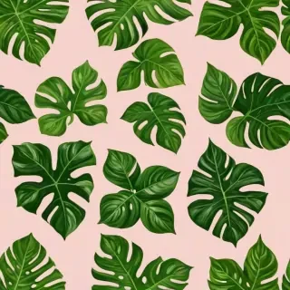 plant no background