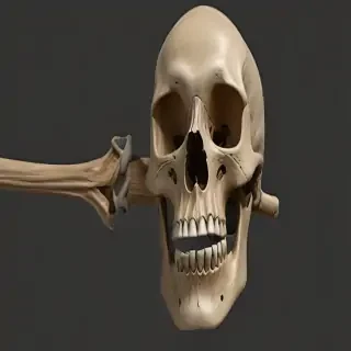 bones png