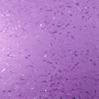 light purple glitter background
