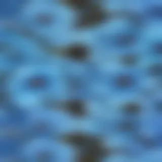 blue flower background