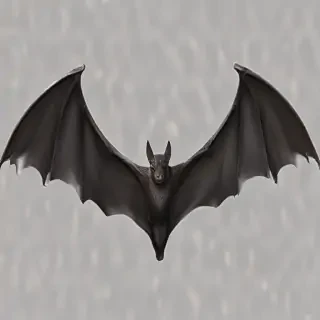 bat wings png