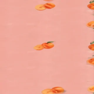 peach color background