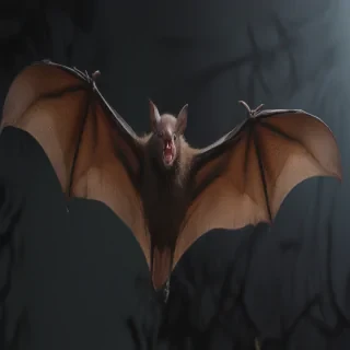 pictures of bats for halloween