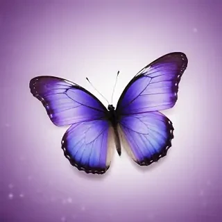 purple butterfly images