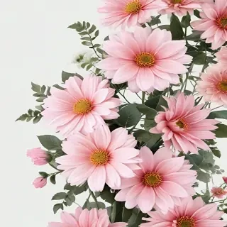 aesthetic flowers transparent background
