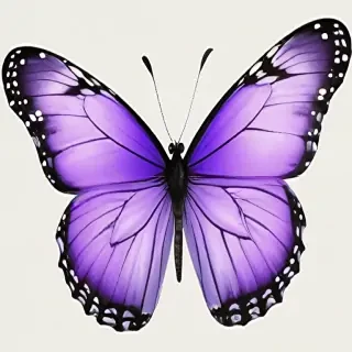 purple butterfly clipart