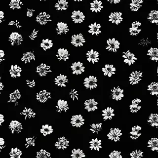 aesthetic wallpapers black