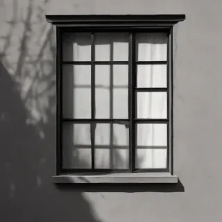 shadow window