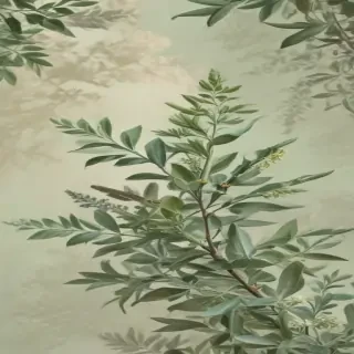 sage aesthetic wallpaper