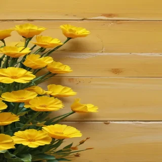 yellow cute backgrounds