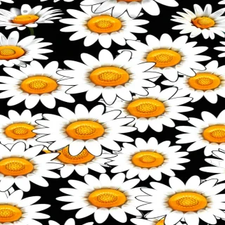 daisy background