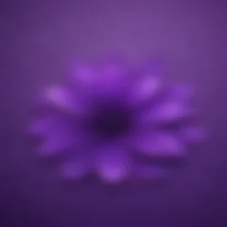 cute purple wallpaper for iphone
