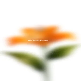 orange flower png