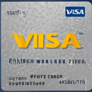 visa logo