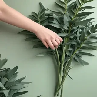 sage green aesthetic