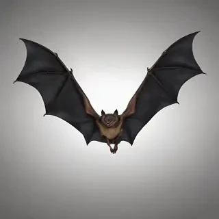 bat wings png