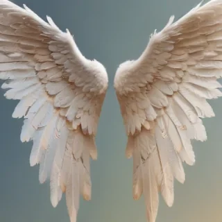 angel wing pictures