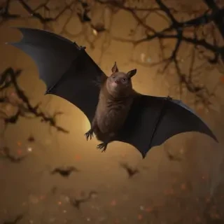 images of halloween bats