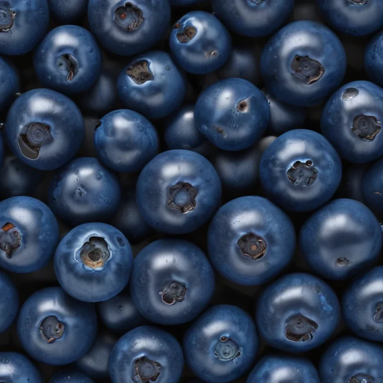 blueberry png