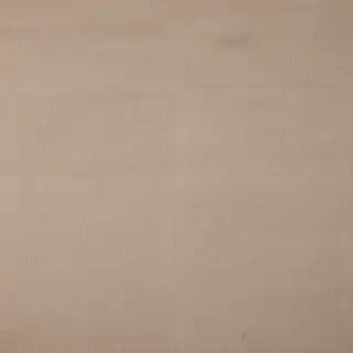 canvas texture overlay