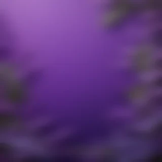 cute purple background