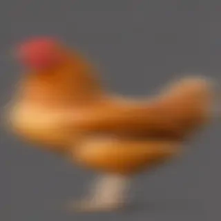 chicken png
