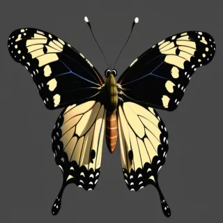 batterfly png