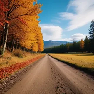 fall wallpapers iphone