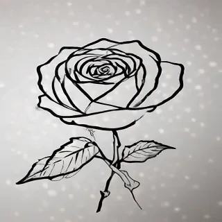 rose outline