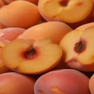 peach png